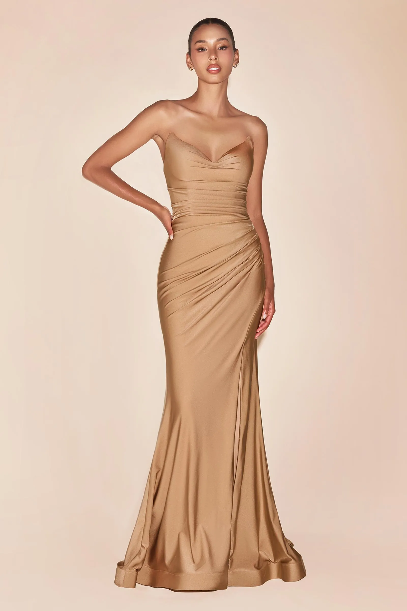 Ladivine CD791 Dress Strapless Stretch Satin Fitted Gown